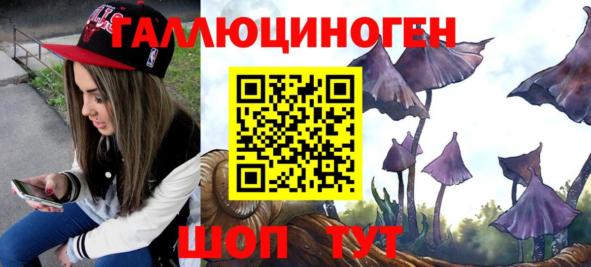 Галлюциногенные грибы Psilocybe Тихорецк