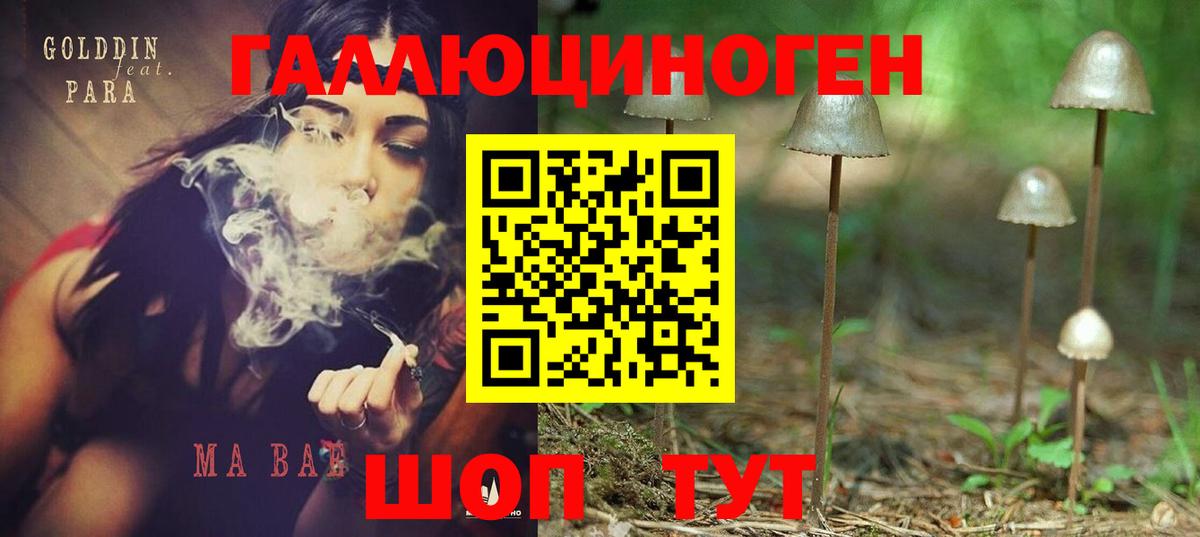 Тихорецк  Псилоцибиновые грибы Cubensis  Вход с VPN 